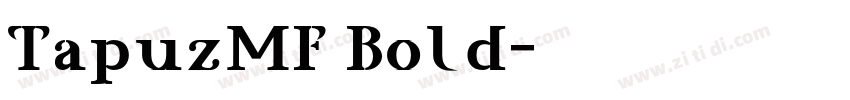 TapuzMF Bold字体转换